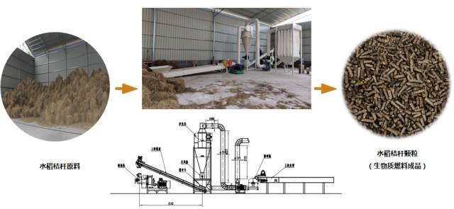 水稻秸秆颗粒燃料利用。