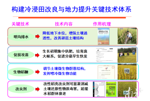冷浸田治理技术说明。 冷浸田治理技术说明。