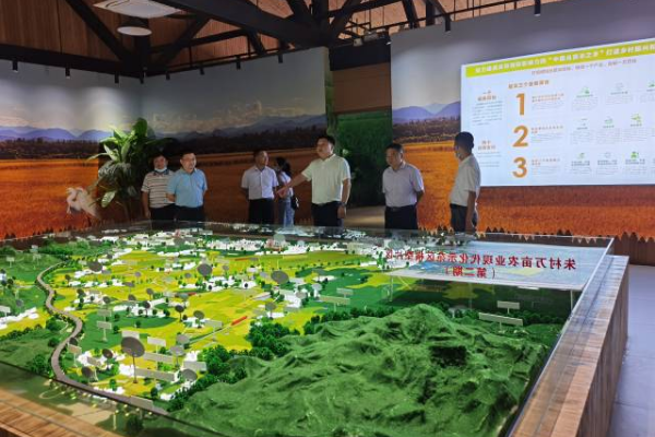 增城丝苗米产业园水稻公园现场。 增城丝苗米产业园水稻公园现场。