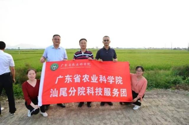 广东省农科院副院长何秀古(后排中)下乡开展“三农”服务。 广东省农科院副院长何秀古(后排中)下乡开展“三农”服务。