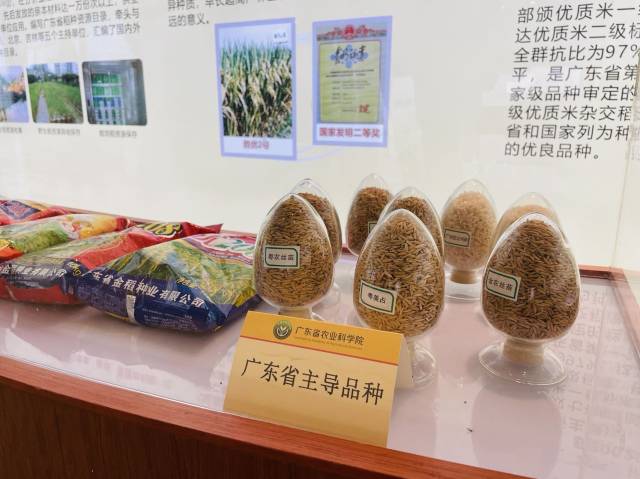 “十三五”以来,广东省农科院农业主导品种、主推技术在广东分别占比63.5%和70.2% “十三五”以来,广东省农科院农业主导品种、主推技术在广东分别占比63.5%和70.2%