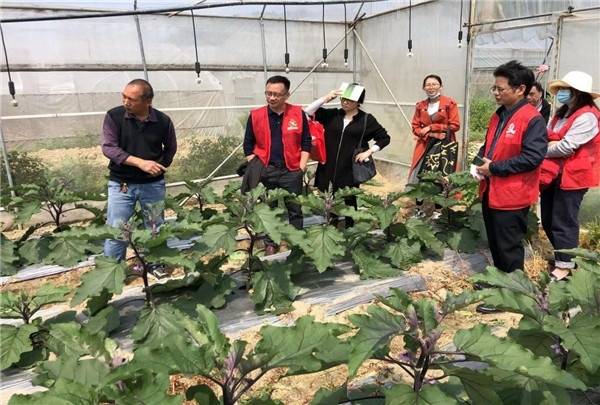 清远分院驻点人员前往佛冈县开展科技志愿服务。 清远分院驻点人员前往佛冈县开展科技志愿服务。