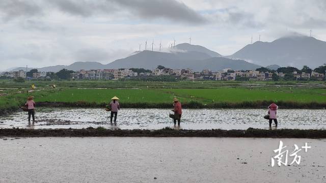    南方+ 乌天宇 拍摄