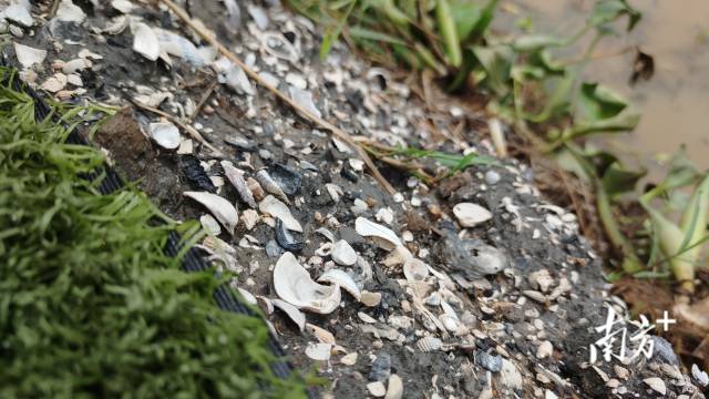    南方+ 乌天宇 拍摄