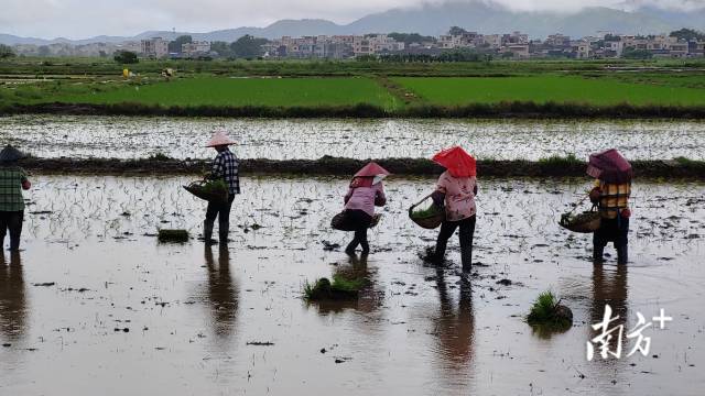    南方+ 乌天宇 拍摄