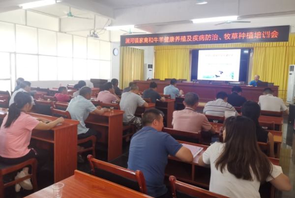 徐斌高级畜牧师授课 徐斌高级畜牧师授课