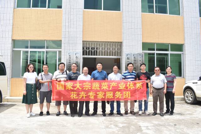 国家大宗蔬菜体系花卉专家服务团队