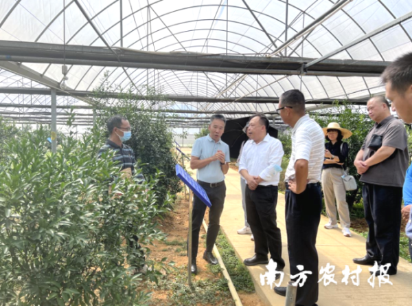 好色TV
党委书记廖森泰一行赴新会区调研。 好色TV
党委书记廖森泰一行赴新会区调研。