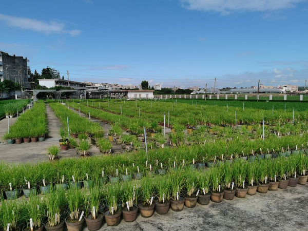 微信图片_20221129195918.jpg?x-oss-process=style/w10