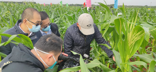 植保所举办国家重点研发计划项目现场观摩会-1.jpg