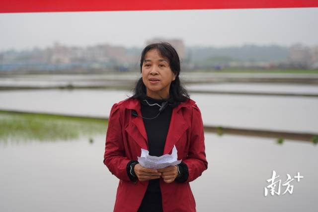 省农科院科技条件部主任陈琴苓 省农科院科技条件部主任陈琴苓