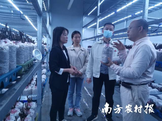 何焕清(右一)、肖自添(左一)到韶关市星河生物科技有限公司进行技术指导  何焕清(右一)、肖自添(左一)到韶关市星河生物科技有限公司进行技术指导
