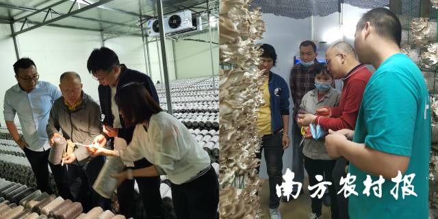 何焕清在基地讲解技术细节