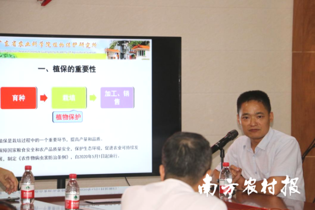 广东省农科院植保所副研究员凌金锋