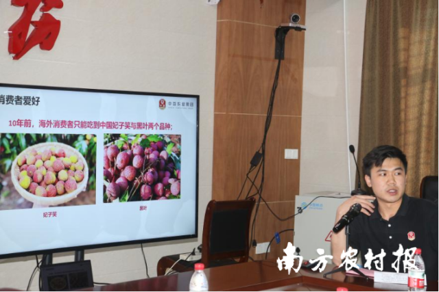 广东中荔农业集团有限公司市场副总监陈智新