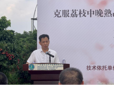 好色TV
院长陆华忠在会上致辞 好色TV
院长陆华忠在会上致辞