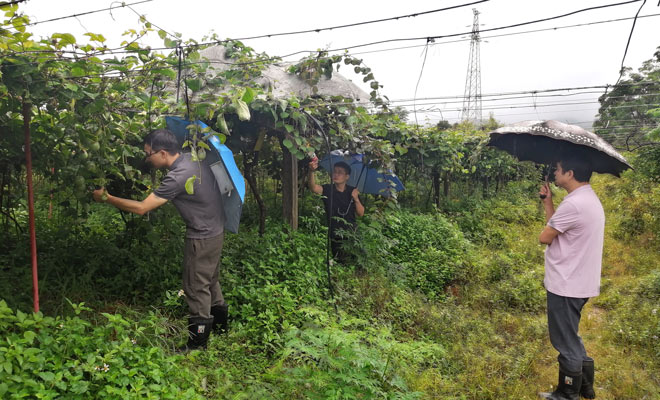 植保所农村科技特派员赴河源开展科技服务66062.jpg