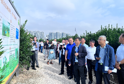 在新会陈皮种植基地参观交流.jpg