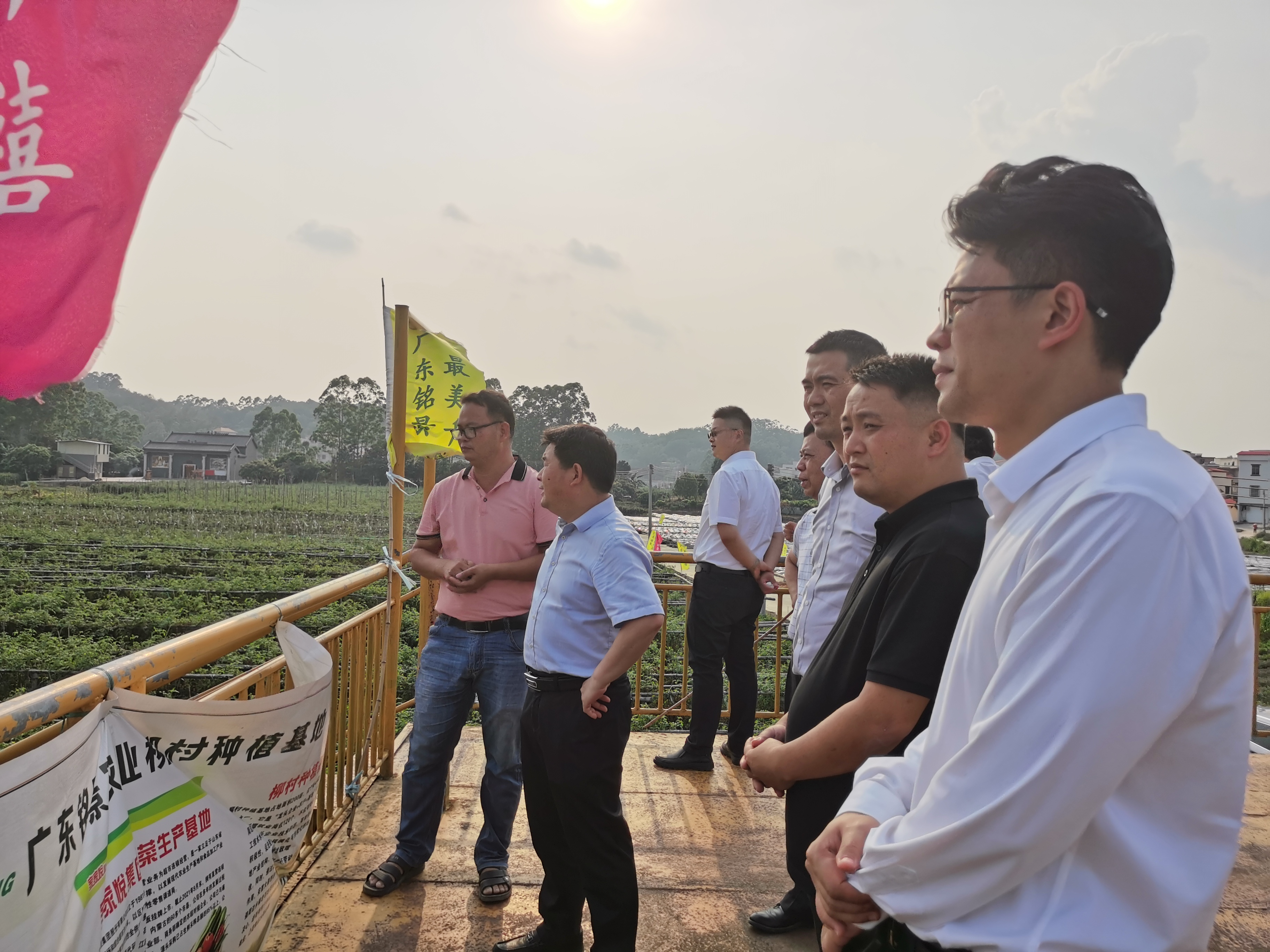 在广东铭景农业柳村樱桃番茄种植基地调研1.jpg