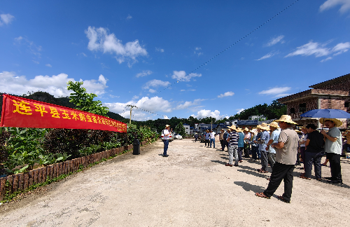 植保所到河源市连平县开展植保技术需求调研及技术服务-1.jpg