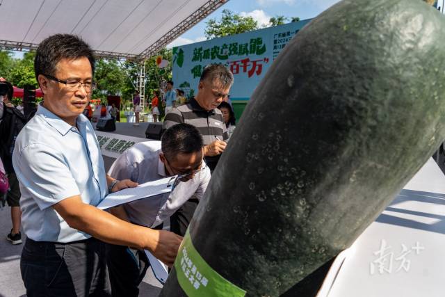 专家对“准瓜王”开展评审。 专家对“准瓜王”开展评审。