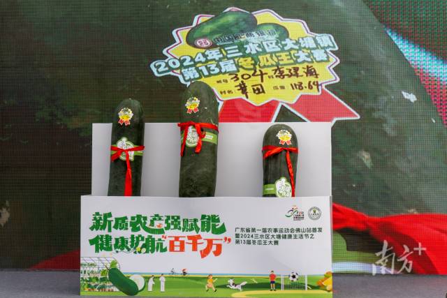 获特等奖的3个“冬瓜王”,最重的达约120斤。 获特等奖的3个“冬瓜王”,最重的达约120斤。