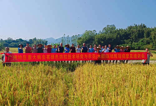 植保所到增城开展水稻病虫害绿色防控技术培训及现场观摩会.jpg