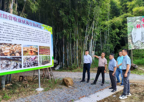 植保所到翁源开展“双百行动”产业调研和技术服务